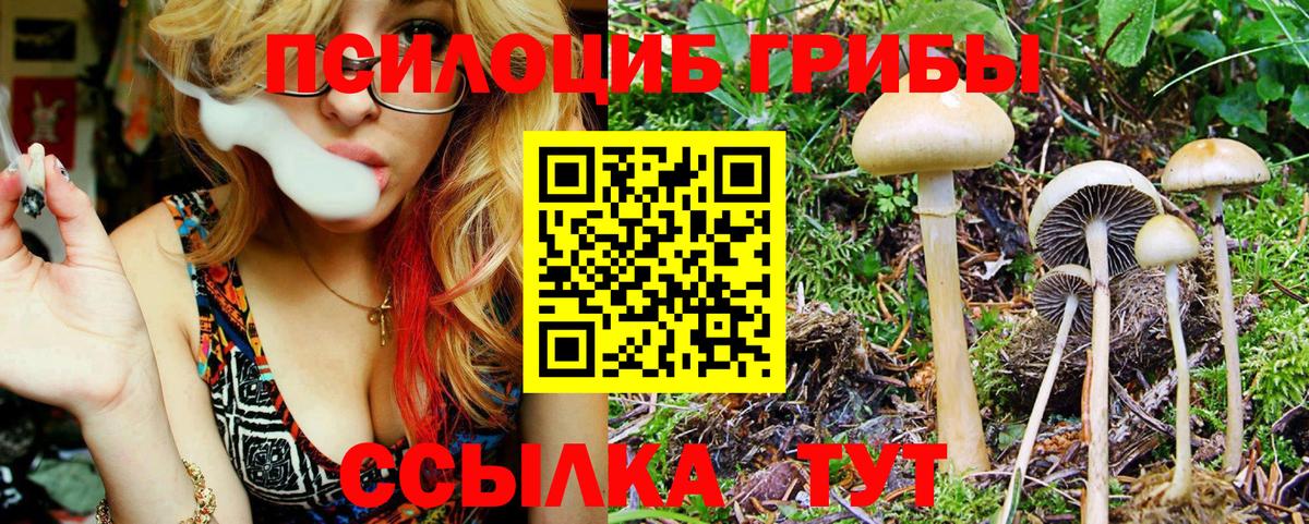 Псилоцибиновые грибы MAGIC MUSHROOMS Каменск-Шахтинский