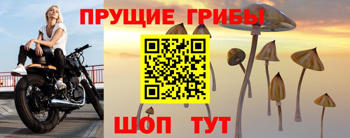 Каменск-Шахтинский  наркота  Вход с VPN  Псилоцибиновые грибы MAGIC MUSHROOMS 